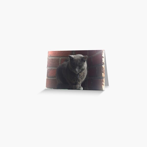 Safety first! Greeting Card