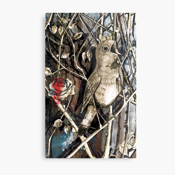 The Nightingale and the Rose Metal Print