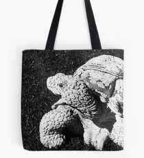 Stone Turtle Tote Bag