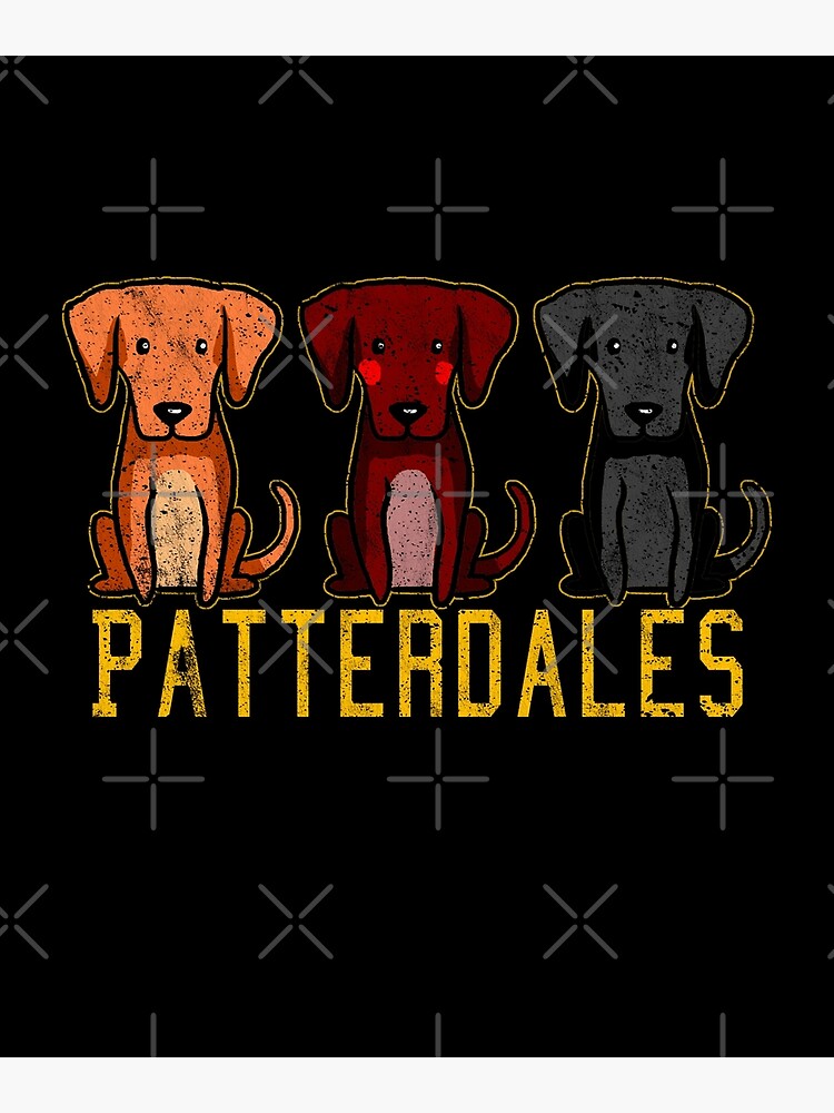 Black Brown Tan Patterdale Terrier Dogs Funny Faded Vintage by thespottydogg