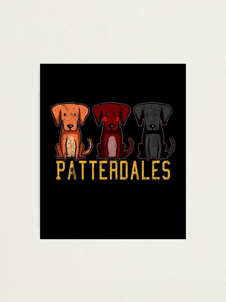 Alternate view of Black Brown Tan Patterdale Terrier Dogs Funny Faded Vintage Photographic Print