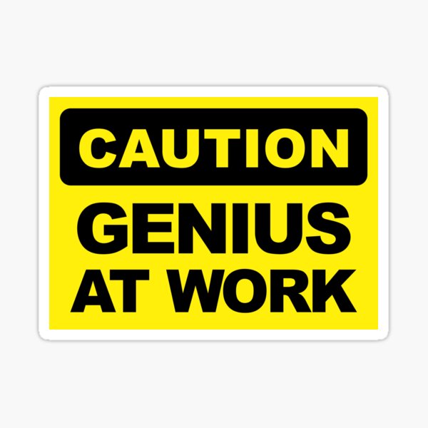 Genius at work Full Colour UK Light Switch Vinyl Sticker Skin Novelty Li1121