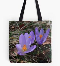 Wild crocus, Parque Natural Da Serra Da Estrela, Portugal Tote Bag