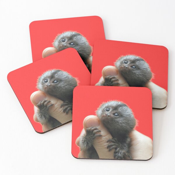Item preview, Marmoset super cute animal designed and sold by magarigaveras.