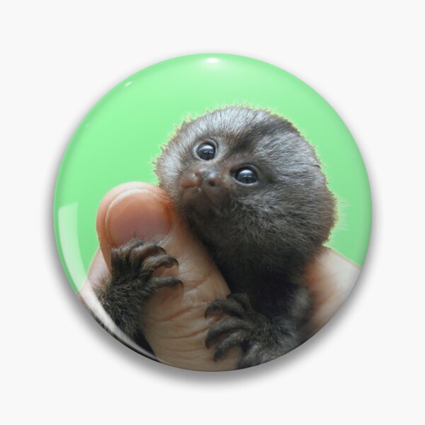 Item preview, Marmoset super cute animal designed and sold by magarigaveras.