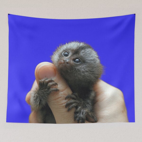 Item preview, Marmoset super cute animal designed and sold by magarigaveras.