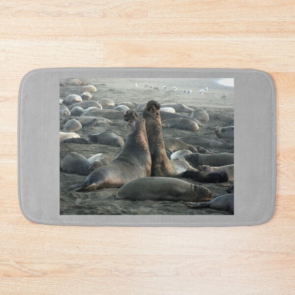 Item preview, Two Male Elephant Seals designed and sold by CarolM.