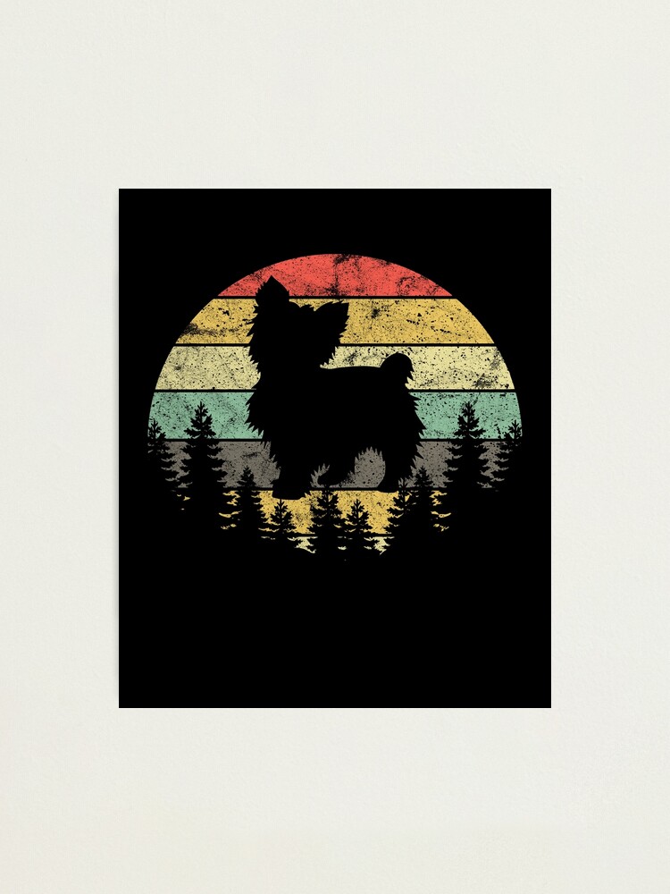 Alternate view of Yorkshire Terrier Yorkie Dog Sunset Vintage Retro Yorkie Photographic Print