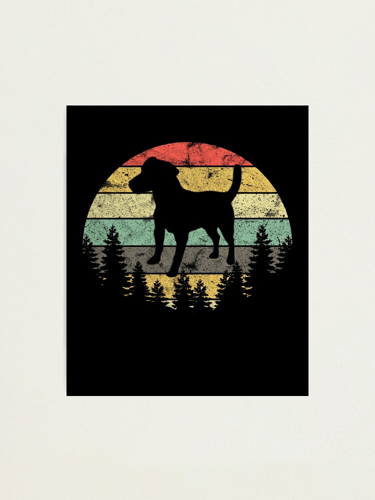 Alternate view of Patterdale Terrier Dog Retro Sun Forest Patterdale Puppy Photographic Print