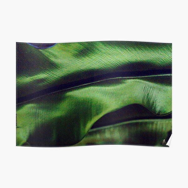 Green Leaf Poster