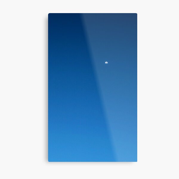 Giant Leap Metal Print