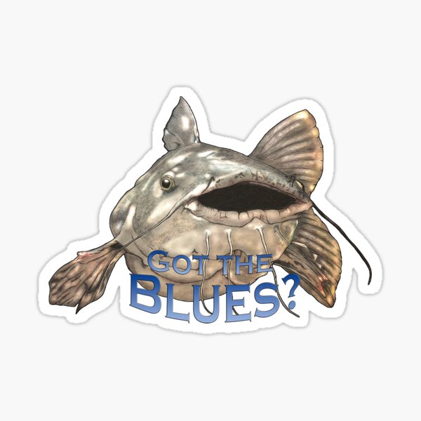 Billy the Catfish Decal – Fishing Complete Inc