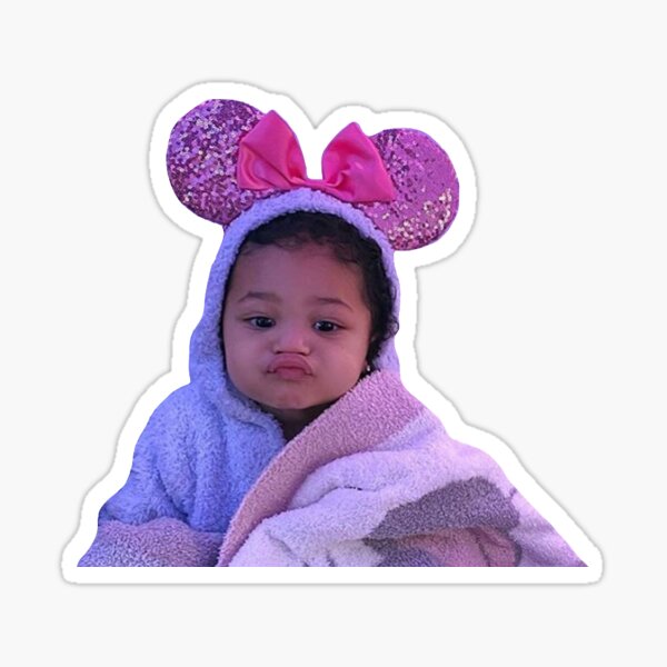 Stormi Stickers Redbubble