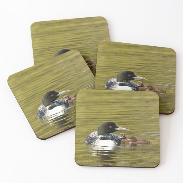 Item preview, Mother Loon and her twins  designed and sold by Inlovewithloons.