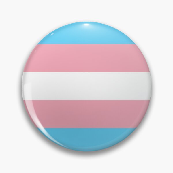 Trans Flag Pride Pin from Red Parka