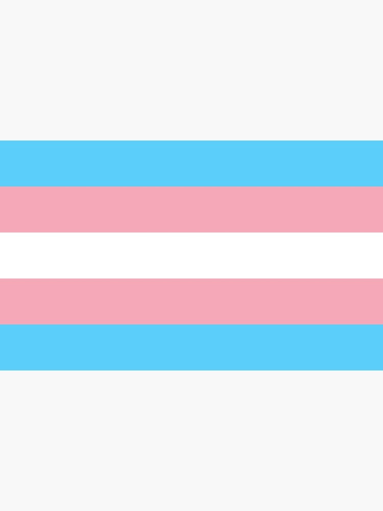 Trans Pride Flag Sticker By Calchamomile Redbubble