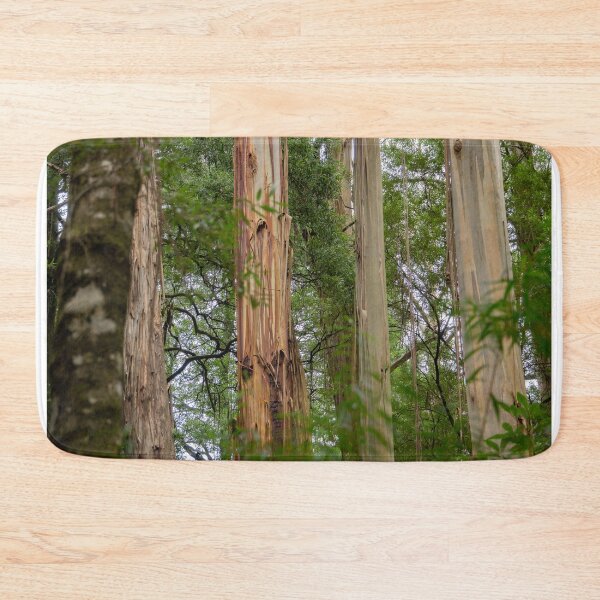 Item preview, Four tree trunks in Otway National Park. designed and sold by Anne Scantlebury.