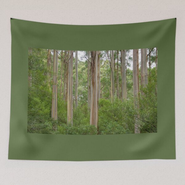 Item preview, Many tall gum trees in Otway National Park. designed and sold by Anne Scantlebury.