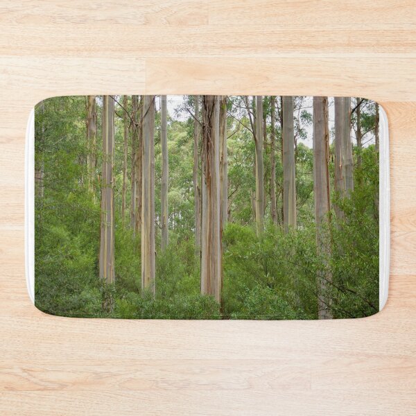 Item preview, Many tall gum trees in Otway National Park. designed and sold by Anne Scantlebury.