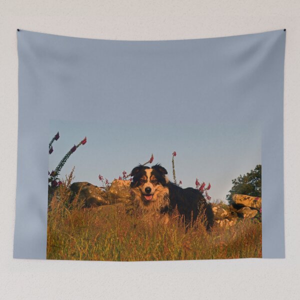 Item preview, Dogs are our link to paradise. designed and sold by Michael Haslam.