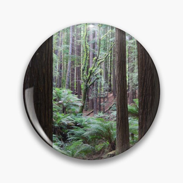 Item preview, Tall dark redwood tree trunks. designed and sold by Anne Scantlebury.