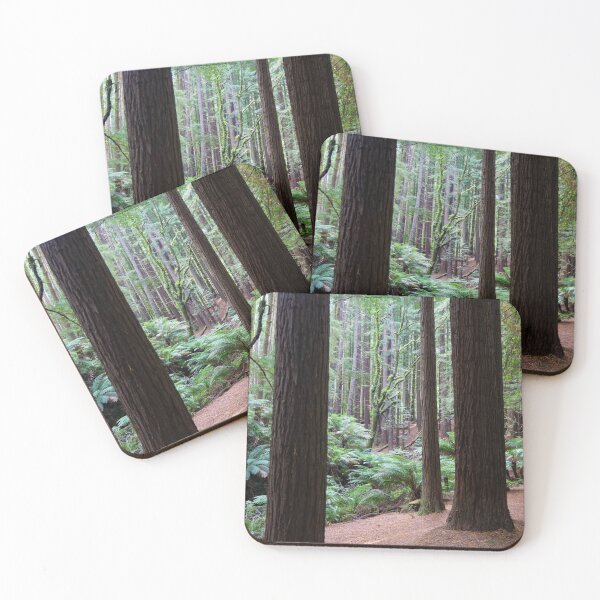 Item preview, Tall dark redwood tree trunks. designed and sold by Anne Scantlebury.