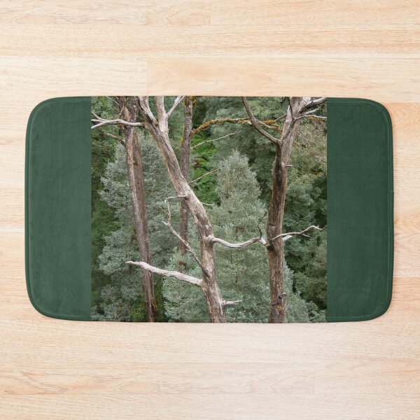 Item preview, Bare tree trunks with blue, green conifer trees. designed and sold by Anne Scantlebury.