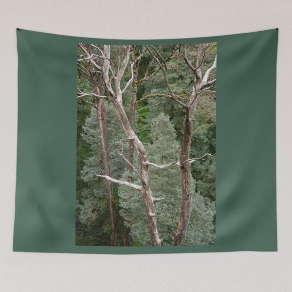 Item preview, Bare tree trunks with blue, green conifer trees. designed and sold by Anne Scantlebury.