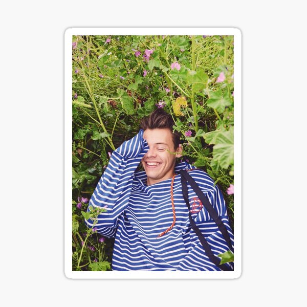 Field Harry Sticker