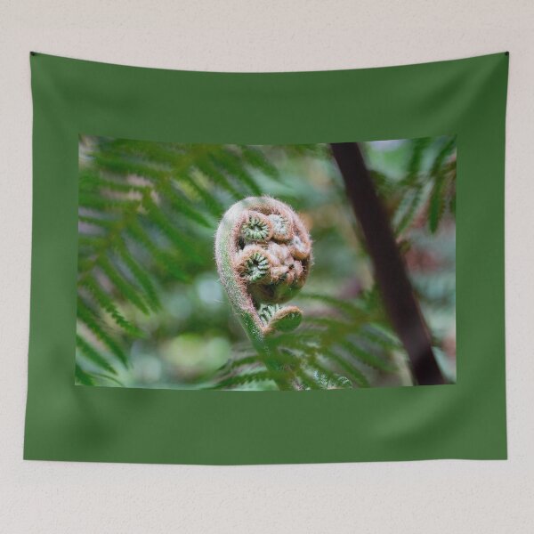 Item preview, Unfurling tree fern frond. designed and sold by Anne Scantlebury.