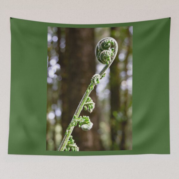 Item preview, Unfurling tree fern. designed and sold by Anne Scantlebury.
