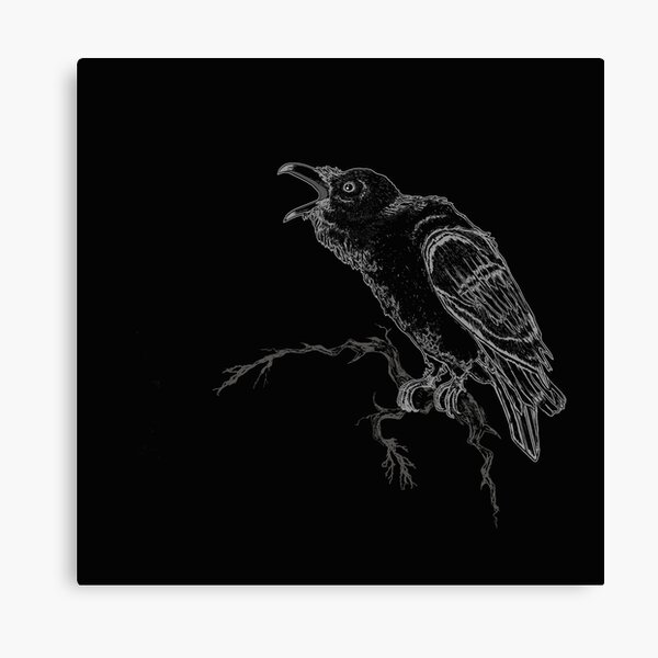 Raven Call Canvas Print