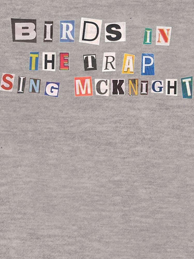 Birds in the 2024 trap sing mcknight hoodie