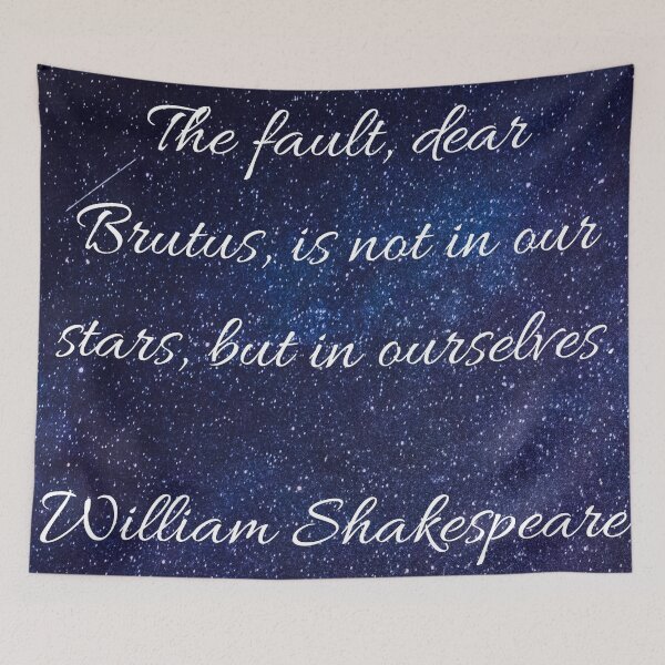 Item preview, The fault in our stars designed and sold by Shakespeare Northwest.