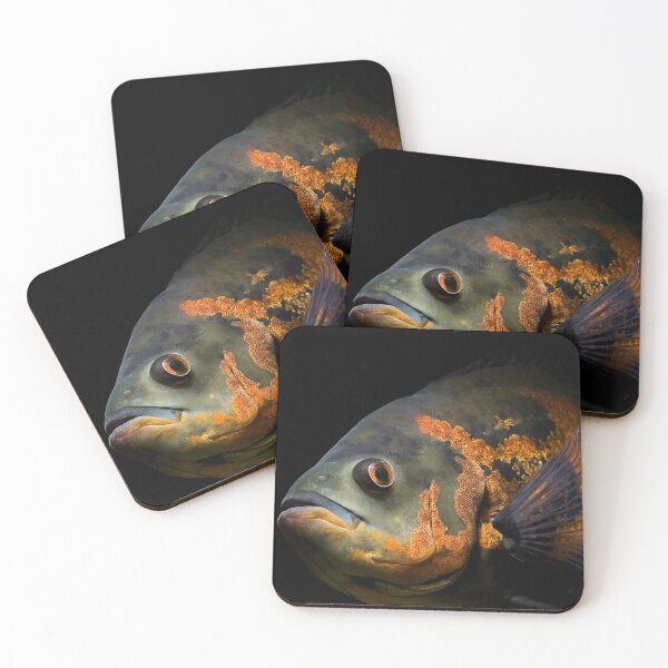 Item preview, A beautiful fish designed and sold by hima-aboelnaga.