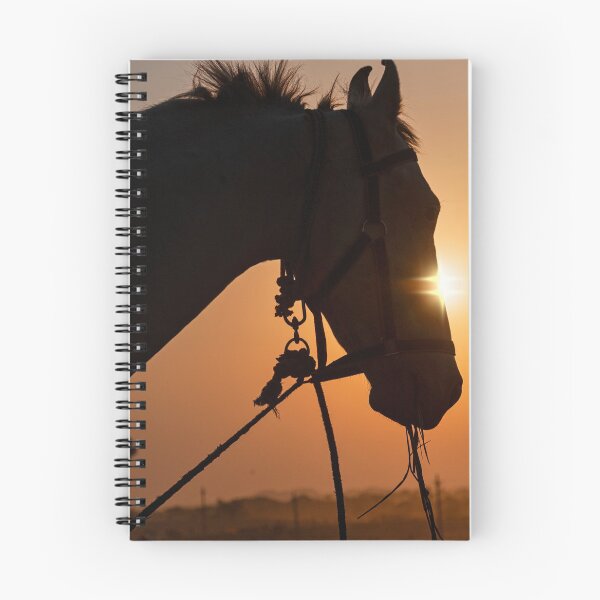 Item preview, Pushkar Sunset Marwari  designed and sold by photograham.