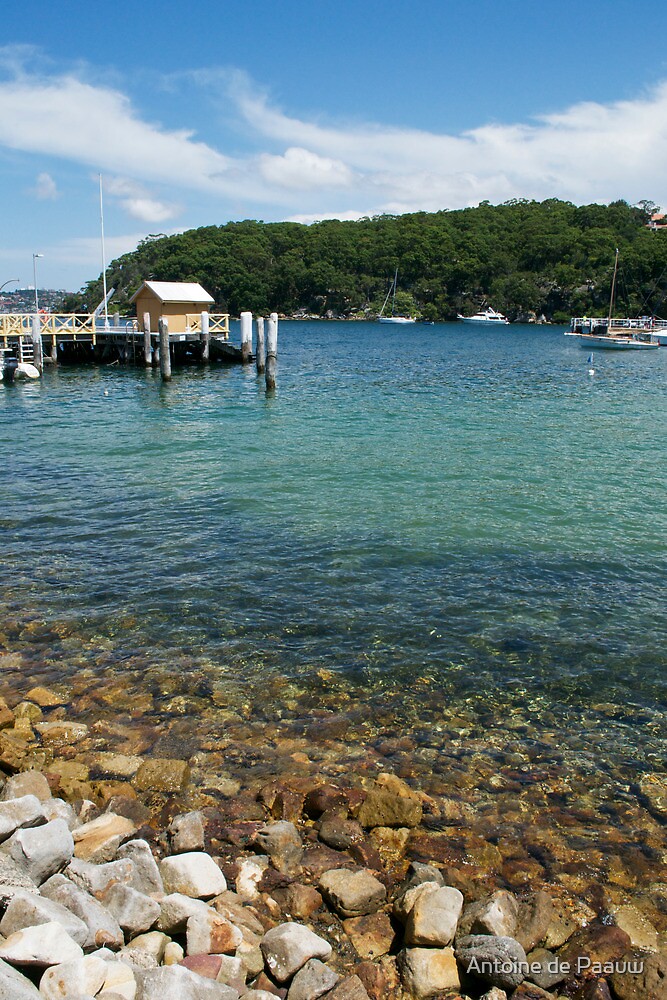 "Chowder Bay" by Antoine de Paauw Redbubble