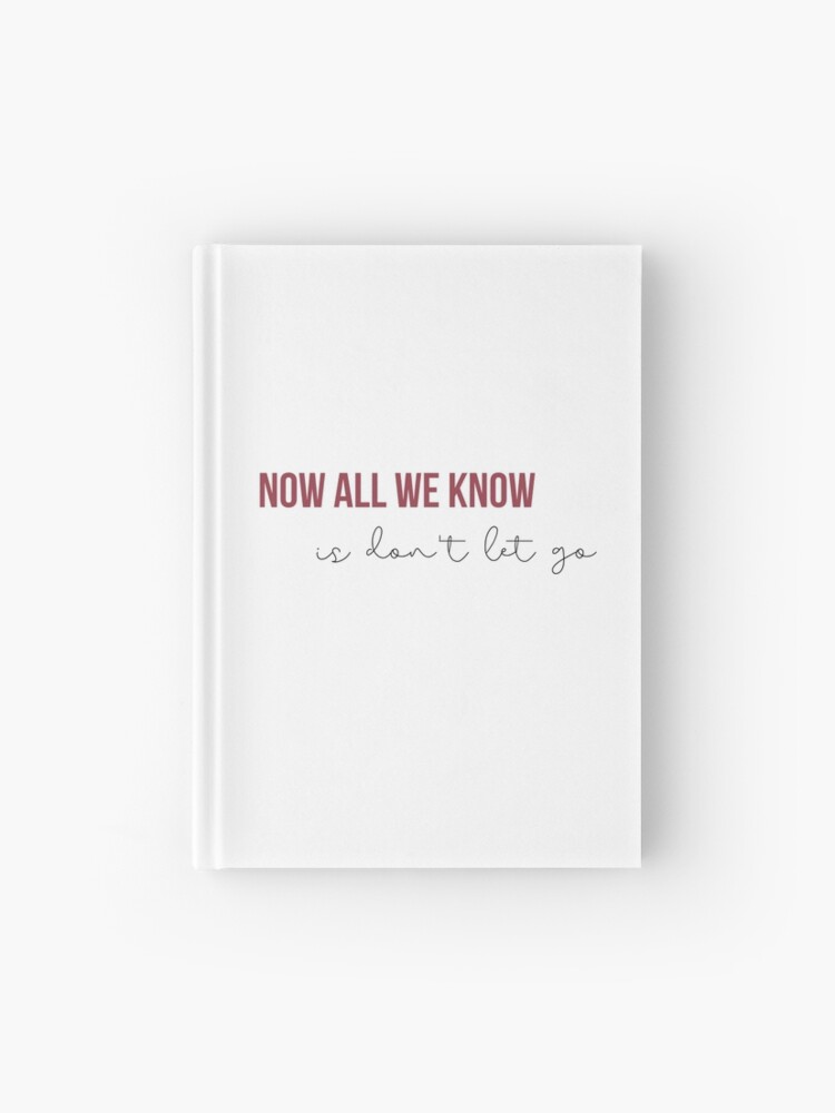 Now All We Know is Dont Let Go - Taylor Swift RED Album lyrics 