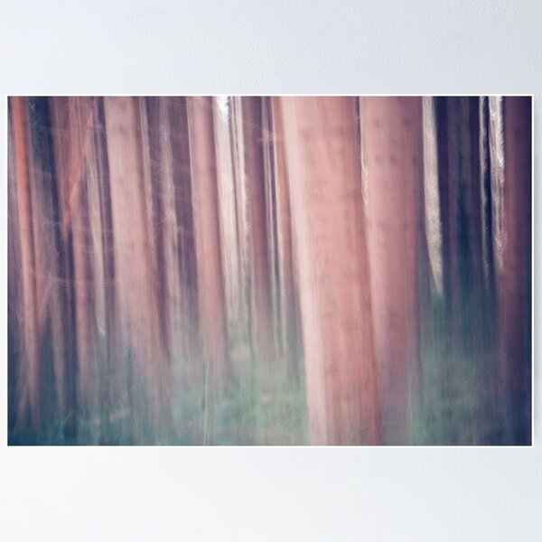 Aperçu de l'œuvre Bois pour les arbres créée et vendue par Marie Carr.