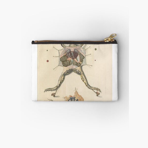 Item preview, Historia naturalis ranarum nostratium Nürnberg... designed and sold by Rodeoclash.