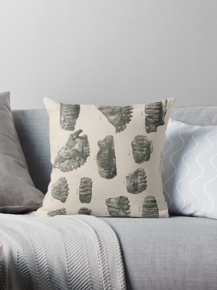Aperçu 1 sur 4. Coussin avec l'œuvre Fauna antiqua sivalensis being the... créée et vendue par Rodeoclash.