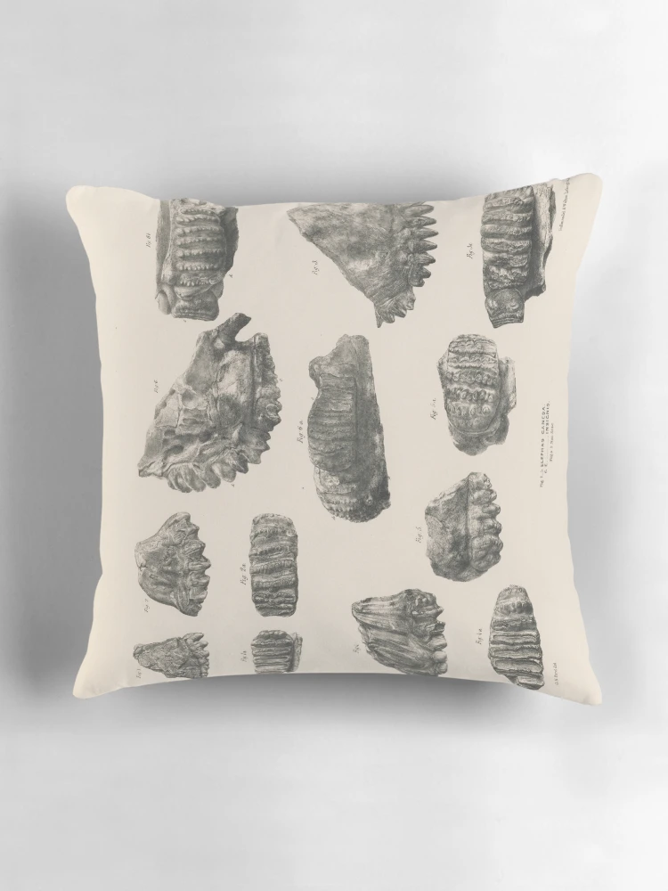 Aperçu 3 sur 4. Coussin avec l'œuvre Fauna antiqua sivalensis being the... créée et vendue par Rodeoclash.