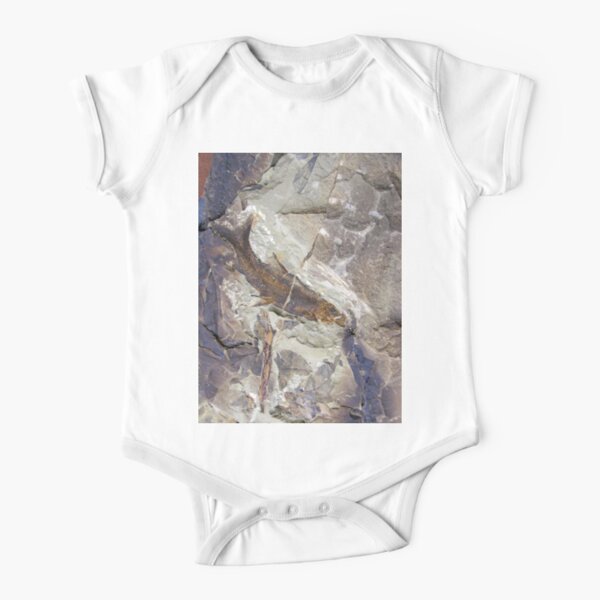 Fish Fossil by Avril Thomas Short Sleeve Baby One-Piece