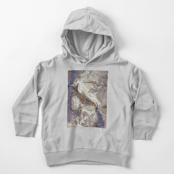Fish Fossil by Avril Thomas Toddler Pullover Hoodie
