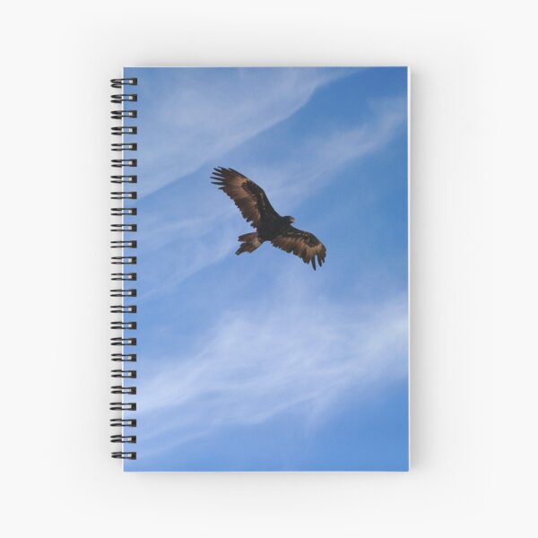 Item preview, Wedge-tailed Eagle 4 designed and sold by quentinjlang.