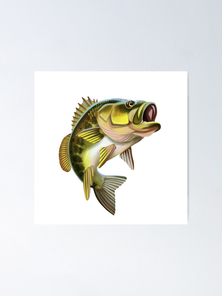 Bass Fish Illustration. Isolated on white background. | Poster