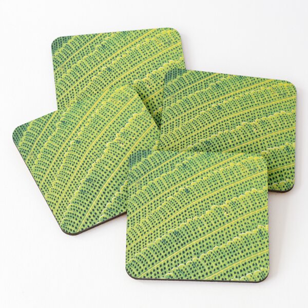 Item preview, Fern macro print designed and sold by Pacesyte.