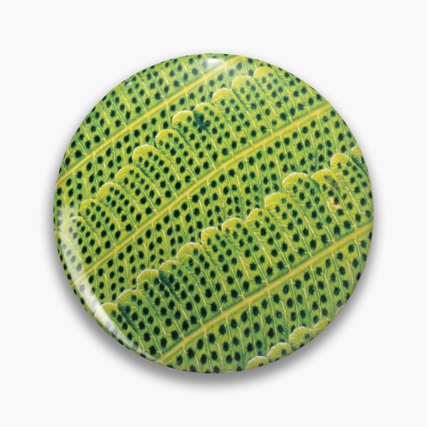 Item preview, Fern macro print designed and sold by Pacesyte.
