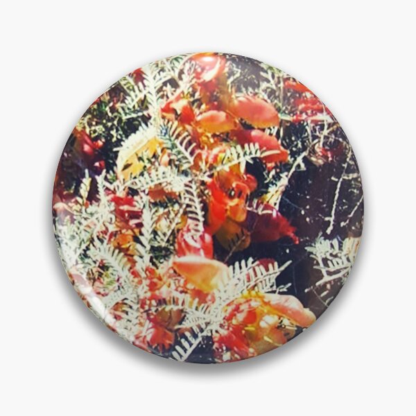 Item preview, Delightful glory of wild Karoo bush designed and sold by Jillalexa.