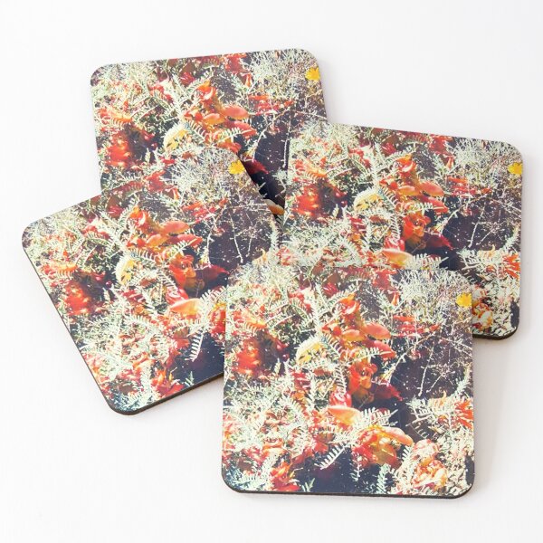 Item preview, Delightful glory of wild Karoo bush designed and sold by Jillalexa.